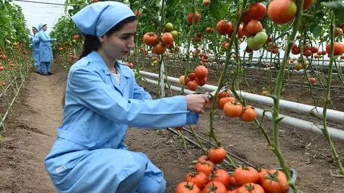 ADB approves $17.5mn grant to boost women’s agricultural skills and food security in Tajikistan