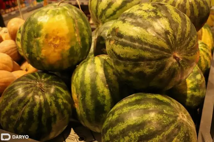 Uzbekistan’s 2024 melon harvest sets record as agricultural exports surpass $1bn 