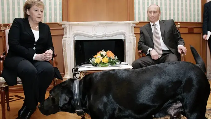 ‘Angela, forgive me,’ Putin apologizes to Merkel for causing discomfort with pet dog during 2007 meeting 