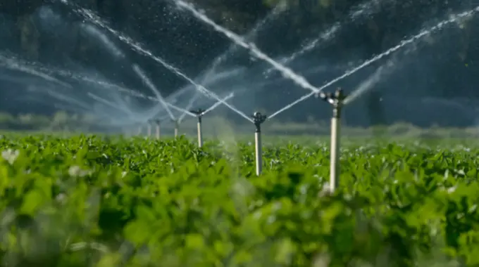 Uzbekistan approves major irrigation projects in partnership with Chinese firms 