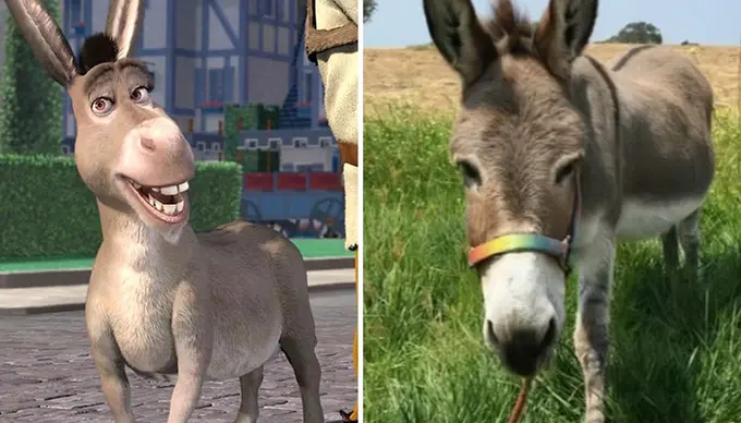 “Shrek” multfilmidagi eshakning prototipi vafot etdi