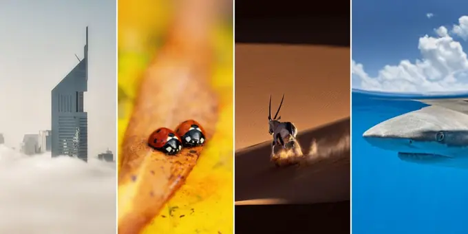 Inson va tabiat: Tokyo International Foto Awards 2024 tanlovida g‘olib bo‘lgan suratlar 