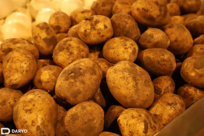 Kazakhstan suspends potato exports to Uzbekistan and other countries amid price surge 