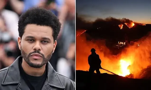 Xonanda The Weeknd Los Anjelesdagi yong‘in qurbonlariga 1 million dollar xayriya qiladi