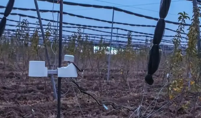 FAO study explores digital agriculture challenges and solutions in Tajikistan 