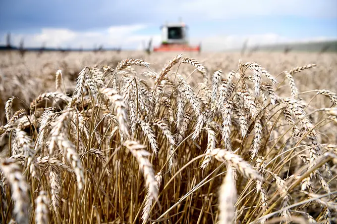 Kazakhstan plans to introduce AI-driven solutions in agriculture by 2025-2026 