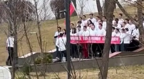 Тошкентда хитойликлар “митинг” қилаётгани ёлғон — ИИВ