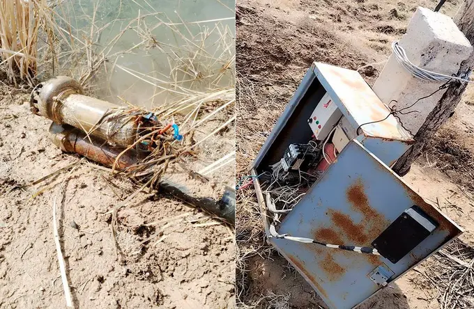 Qashqadaryoda fermer xo‘jaligi 1,7 mlrd so‘mlik elektr energiyasidan noqonuniy foydalangani aniqlandi 