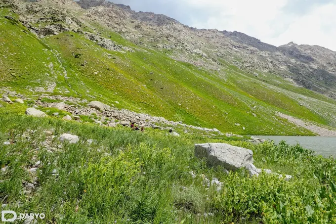Uzbekistan adopts new environmental assessment law, mandates public hearings 