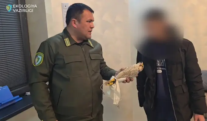 Farg‘onada noyob qushni noqonuniy saqlab kelgan fuqaro qo‘lga olindi