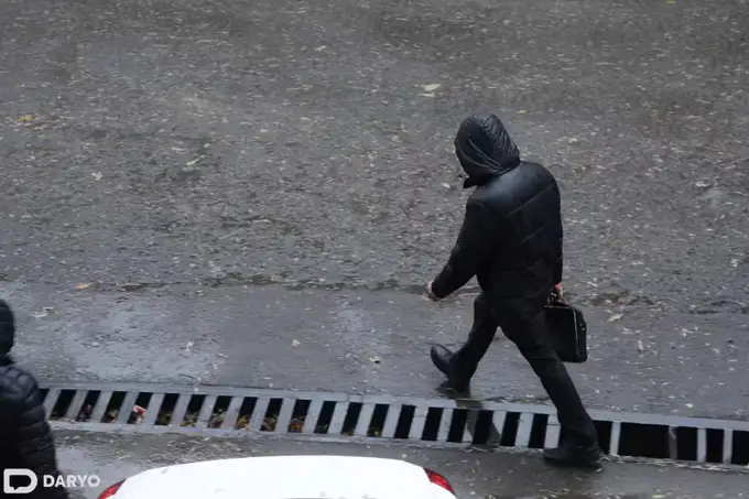 Названо число узбекистанцев трудоспособного возраста