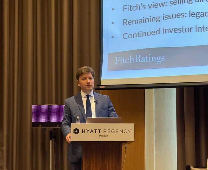 “Full privatization of banks will be difficult and likely postponed,” says Fitch Ratings 