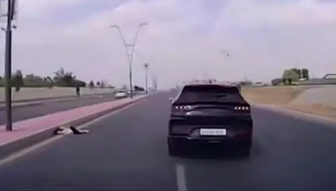 Toshkentda 9 yoshli qizning o‘limiga sababchi bo‘lgan BYD haydovchisiga chora ko‘rildi (video)