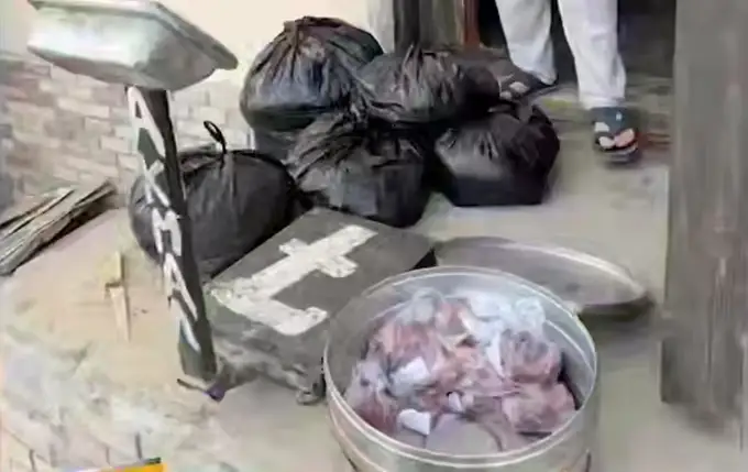 Sirdaryodan Toshkentga olib ketilayotgan 361 kg eshak go‘shti to‘xtatib qolindi