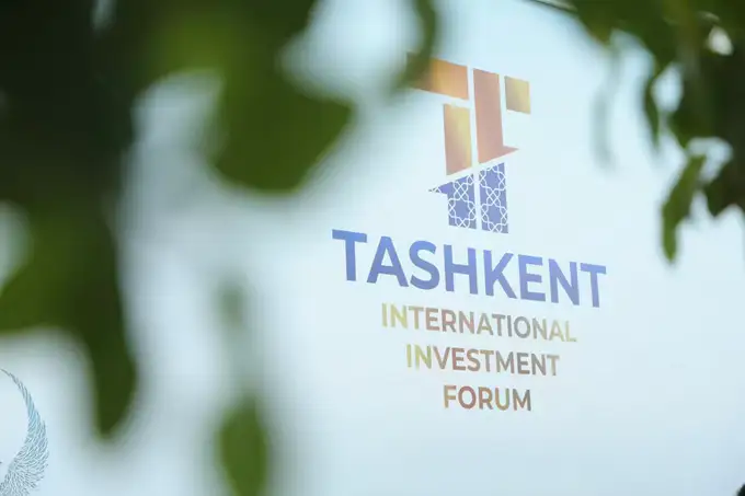 TIIF day 1 recap: From clean energy to creative economies, Uzbekistan courts global investors 