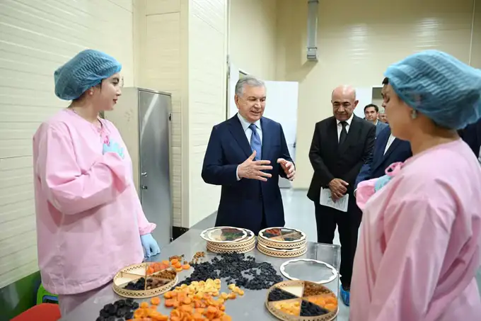 “Технология олиб келиб, жаҳон бозорига сархил ва қуритилган меваларни экспорт қилиш салоҳиятимиз бор” — президент
