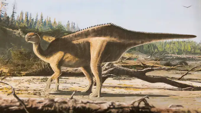 Buyuk Britaniyada orqasida yelkanga o‘xshash organi bor yangi dinozavr turi kashf etildi