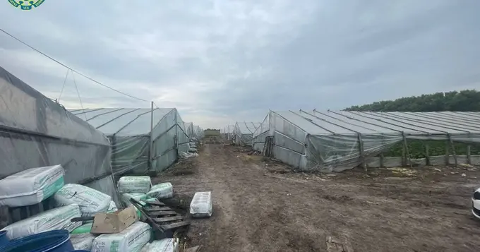 В Украине 13 узбекистанцев удерживали в рабстве. МИД Узбекистана взял ситуацию под контроль