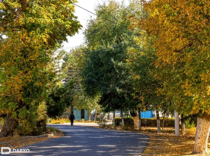 O‘zbekistonda 15-oktyabr kuni 32 darajagacha issiq bo‘ladi