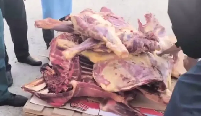 Sirdaryoda ham antisanitar holatda olib ketilayotgan yaroqsiz go‘sht mahsulotlari aniqlandi