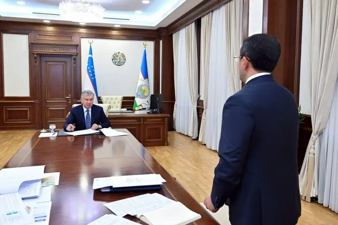 Фонд социальной защиты с 2026 года начнет выплачивать пособия по беременности и родам