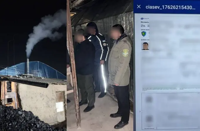 Toshkent shahri va viloyatida issiqxona xo‘jaliklari ustidan ekologik reyd boshlandi
