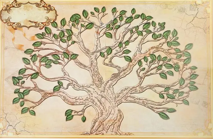 Oʻzbekistonda “Shajara” axborot tizimi yo‘lga qo‘yilishi mumkin