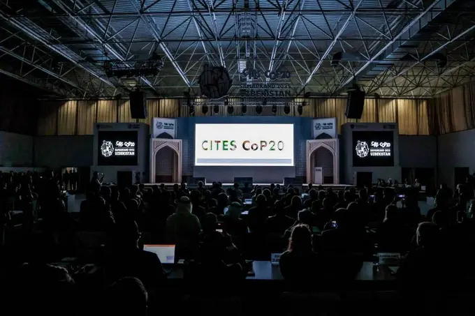 Uzbekistan hosts CITES CoP20 as global delegates convene in Samarkand to strengthen wildlife protection
