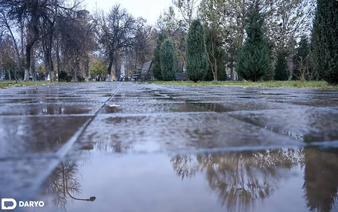 Ўзбекистоннинг айрим ҳудудларида 12 декабрда ёмғир ёғади