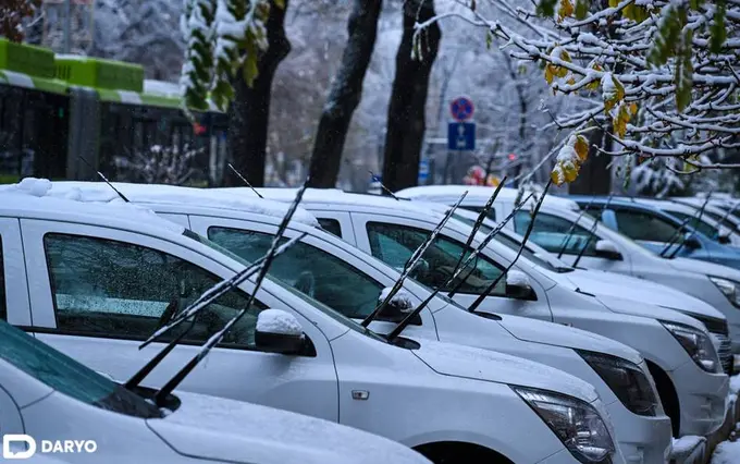 Qish ishini boshladi: Toshkentda yogʻgan qor manzaralari (foto)