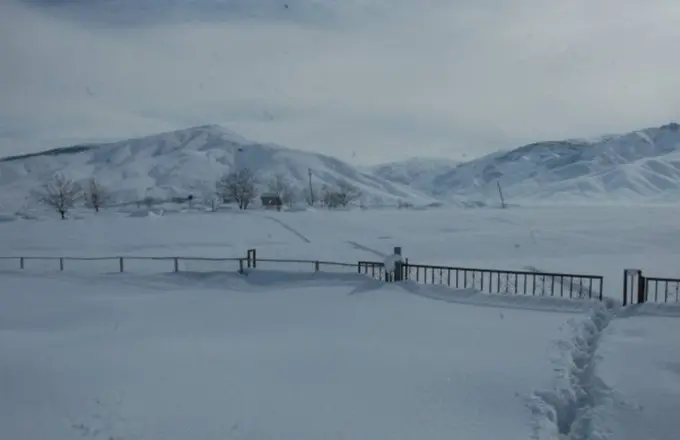 Eron 2000 dan ortiq afg‘onistonlik muhojirni qattiq sovuqdan qutqarganini ma’lum qildi