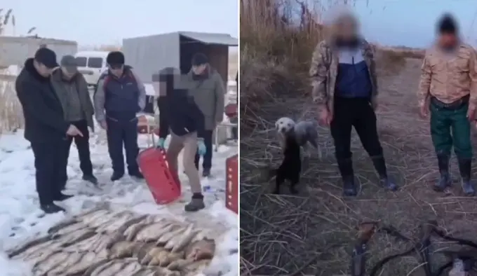 Сирдарёда ноқонуний балиқ овлаш билан боғлиқ ҳолатларда табиатга 1,6 млрд сўм зарар етказилди