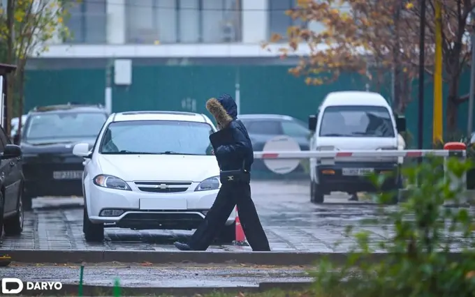 Oʻzbekistonda talabalar uchun kontrakt to‘lash muddati uzaytirildi