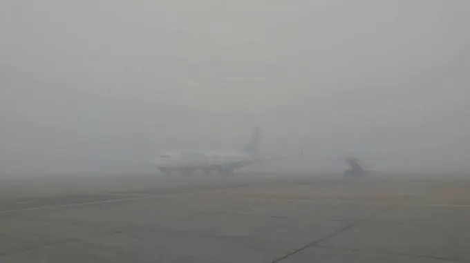Тошкентда халқаро парвозлар туман сабаб захира аэродромларига йўналтирилди