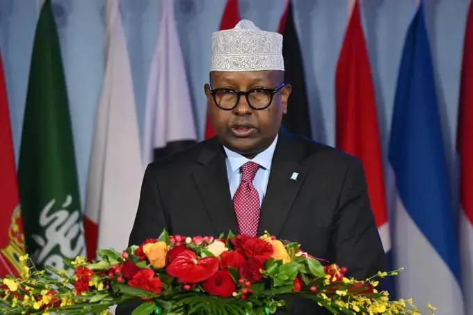 “Isroil falastinliklarni Somalilendga koʻchirmoqchi” — Somali vaziri