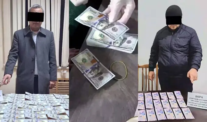 Toshkent viloyatida ekologiya bo‘limi boshlig‘i qamoqqa olindi