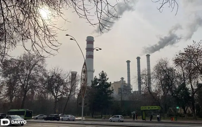 Предприятиям в Узбекистане предоставят льготы за заботу об экологии