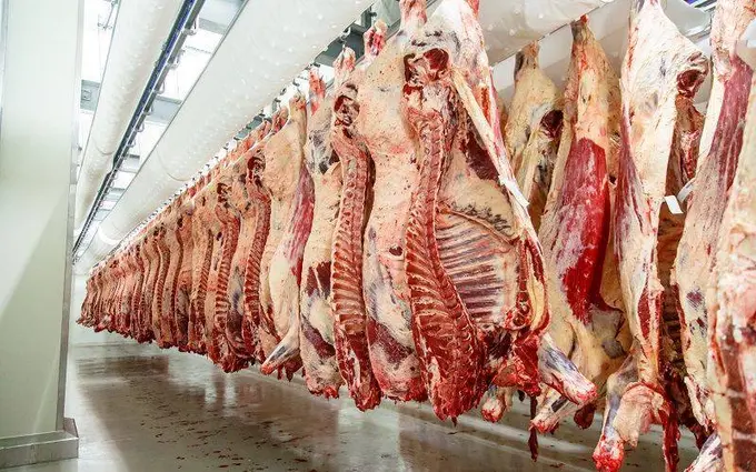Kazakhstan links high meat prices to strong exports to Uzbekistan