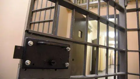 Uzbekistan to introduce crime map to monitor sexual and family crime offenders