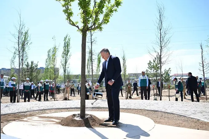 Uzbekistan boosts green coverage to 14.2%, targets 30% by 2030