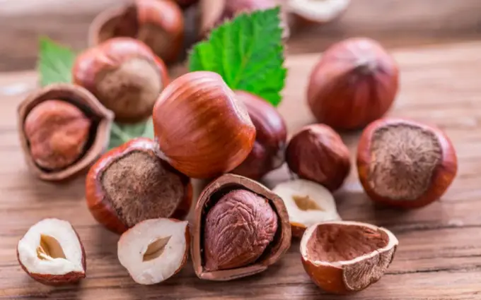 Dunyodagi eng qimmat yong‘oqlardan biri — makadamiya nimasi bilan foydali?