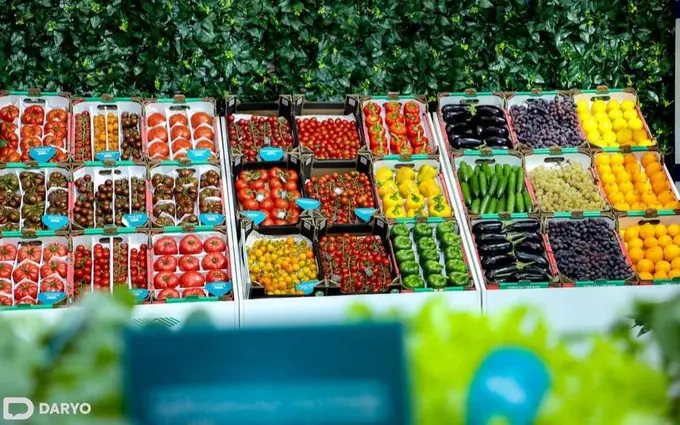 Russia denies reports of restrictions on Uzbek fruit and vegetable imports