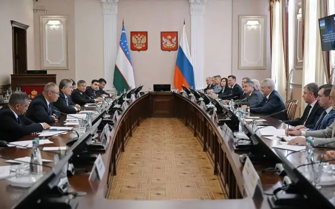 Uzbekistan, Rosatom to hold monthly on-site meetings for nuclear plant project
