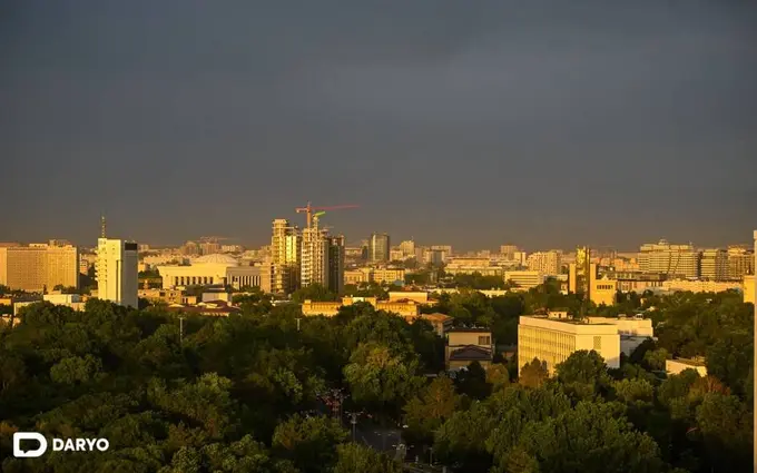 Ўзбекистонда 17 июнь куни ёмғир ёғиши кутилмоқда