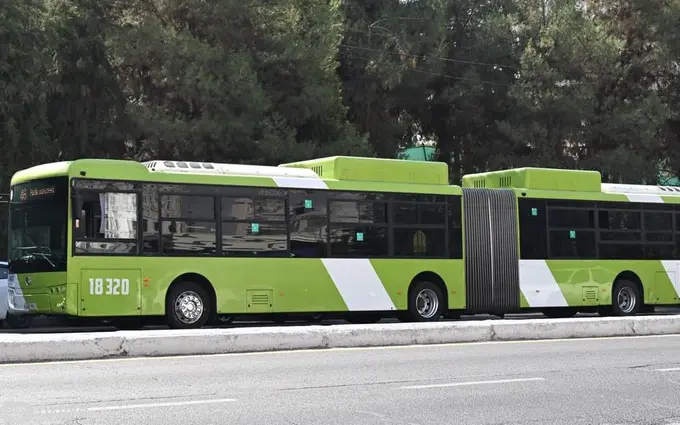 Toshkentda avtobus piyodani urib yubordi
