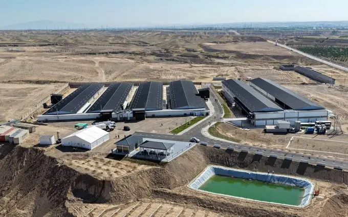 Uzbekistan targets 1,000 jobs with Namangan poultry industry expansion