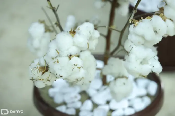 Uzbekistan expands financial support for cotton and textile sector with subsidies and VAT incentives