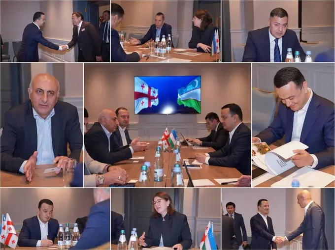 Uzbekistan, Georgia advance trade, investment cooperation ahead of high-level visit