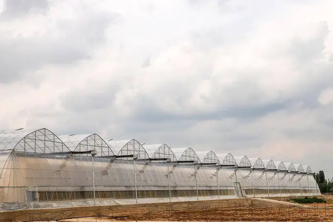 Uzbekistan proposes higher taxes for high-emission greenhouses