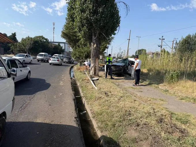В Ташкентской области водитель Lacetti погиб после столкновения с деревом